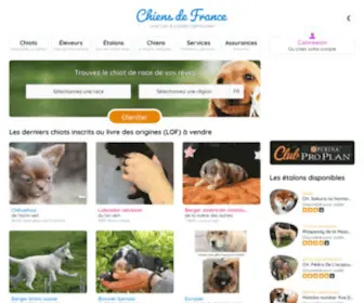 Chiens-DE-France.com(Chiens de France) Screenshot