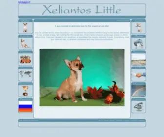 Chihua-XL.ru(Chihuahua kennel Xeliantos Little) Screenshot