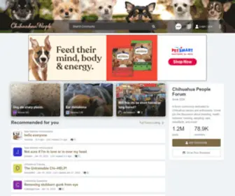 Chihuahua-People.com(Chihuahua People Forum) Screenshot