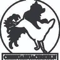 Chihuahuacirkeln.com Logo