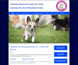 Chihuahuarescue.co.uk(Chihuahua) Screenshot