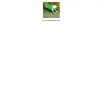 Chihuahuaspin.com(chihuahuaspin) Screenshot