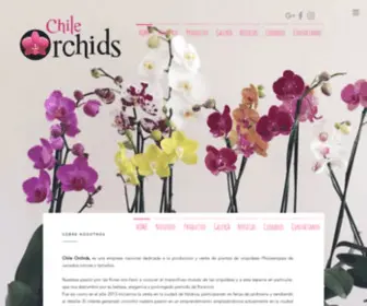 Chileorchids.cl(Orquideas Chile) Screenshot