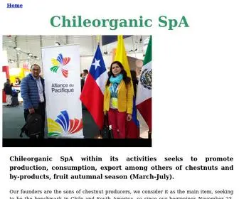 Chileorganic.cl(Chileorganic) Screenshot
