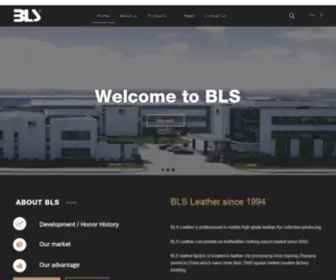 China-BLsleather.com(BLS Leather) Screenshot