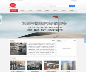 China-GG.com(北京中天金谷科技集团股份有限公司) Screenshot