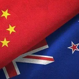 Chinabusinesssummit.co.nz Favicon