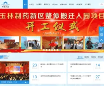 Chinaconsun.com(康臣药业集团) Screenshot