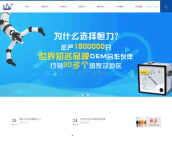 Chinahonly.com(温州市恒力仪表有限公司) Screenshot