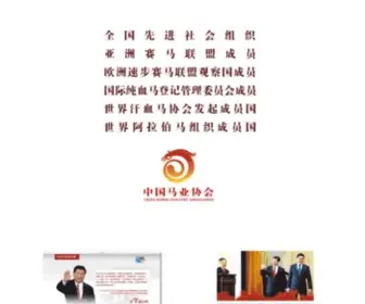 Chinahorse.org(中国国家马业网) Screenshot