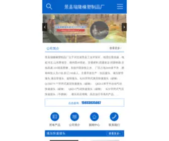 Chinanise.com(衡水华奥精密液压有限公司) Screenshot