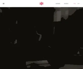 Chinaruyi.com(如意集团) Screenshot