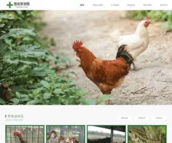 Chinasych.com(中国兽药策划网) Screenshot