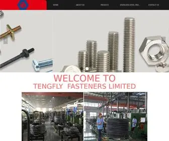 Chinatengfly.com(Bolts Nuts Screws And Fasteners) Screenshot