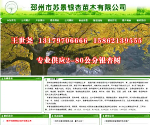 Chinayxzx.com(IIS Windows Server) Screenshot