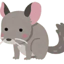 Chinchilla-Kotaro.blog Favicon