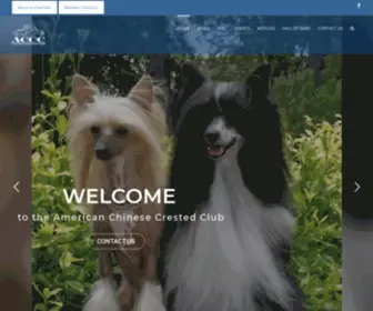 Chinesecrestedclub.info(American Chinese Crested Club ACCC) Screenshot