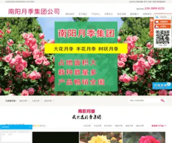 Chineserose.com(大花月季) Screenshot