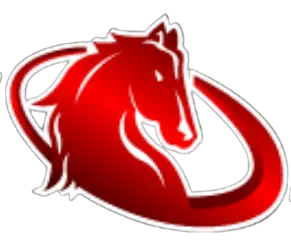 Chinesesdahistory.org Favicon