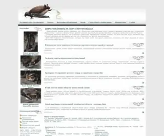 Chiroptera.ru(Новости) Screenshot