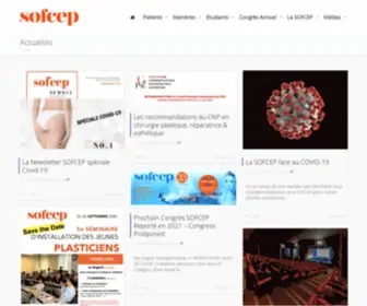 Chirurgiens-Esthetiques-Plasticiens.com(Esthétique) Screenshot