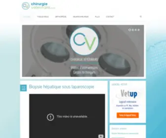 Chirurgieveterinaire.com(CHIRURGIE VETERINAIRE) Screenshot