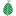 Chlorophyll.in Logo