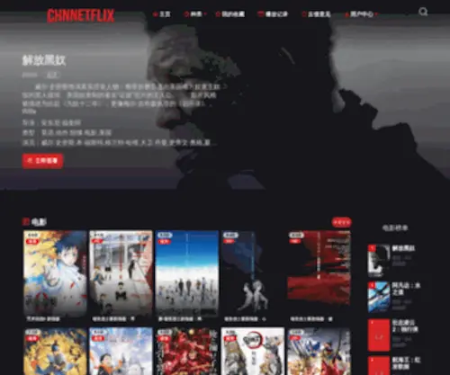 CHnnetflix.com(奈飞中文影视) Screenshot