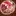 Chocolategod.com Favicon