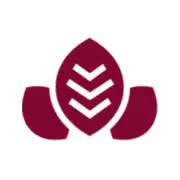Chocovic.com Logo