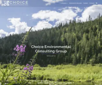 Choice-ECG.com(Choice Environmental Consulting Group) Screenshot