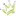 Choiceoptions.net Favicon
