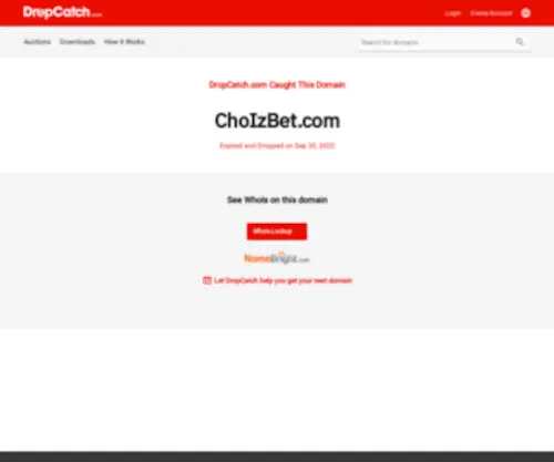 Choizbet.com Screenshot