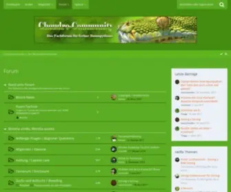 Chondro-Community.com(Das Baumpython) Screenshot