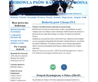 Chosna.pl(Owczarek) Screenshot