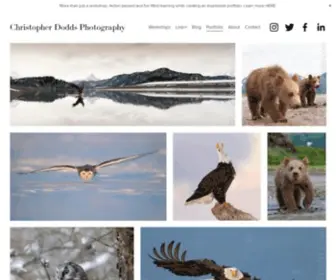 Chrisdoddsphoto.com(Nature photography workshops) Screenshot