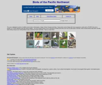 Christinevadai.com(Birds of the Pacific Northwest) Screenshot