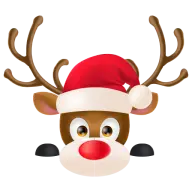 Christmasdecorations.com.au Favicon