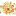 CHRysanthemumGarden.com Favicon