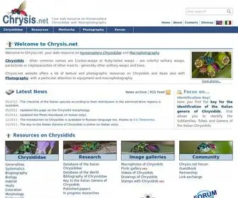 CHRysis.net(Chrysis) Screenshot