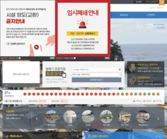 Chuamautocamping.or.kr(추암오토캠핑장) Screenshot