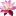 ChuaphapVan.com.vn Favicon