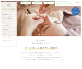 Chubu-Chiryoin.com(Chubu Chiryoin) Screenshot