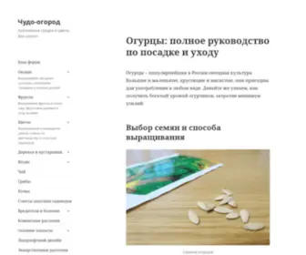 Chudo-Ogorod.ru(Ваш чудо огород) Screenshot
