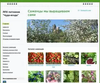 Chudojagoda56.ru(ЛПХ"Чудо ягода") Screenshot