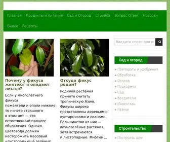 Chudoogorod.ru(ЧудоГород.ру) Screenshot
