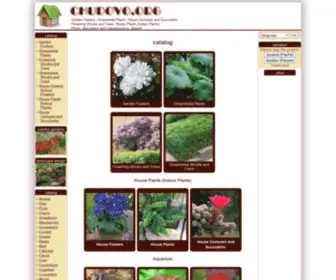 Chudovo.org(Garden Flowers) Screenshot