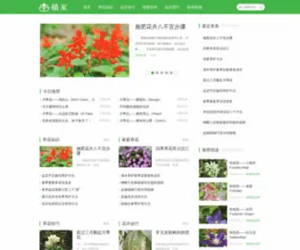 Chuzhan.org(初绽) Screenshot