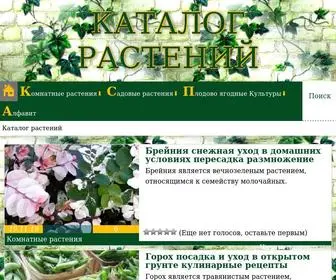 Chvetochki.ru(Каталог растений) Screenshot