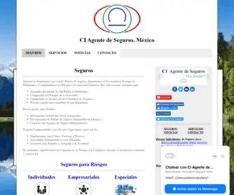 CI-Seguros.com.mx(Consultoría) Screenshot